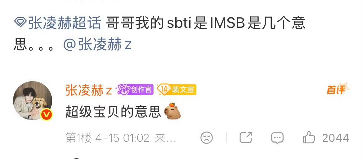 张凌赫的sbti word天！这是什么顶级解读哥你也太会了吧！！