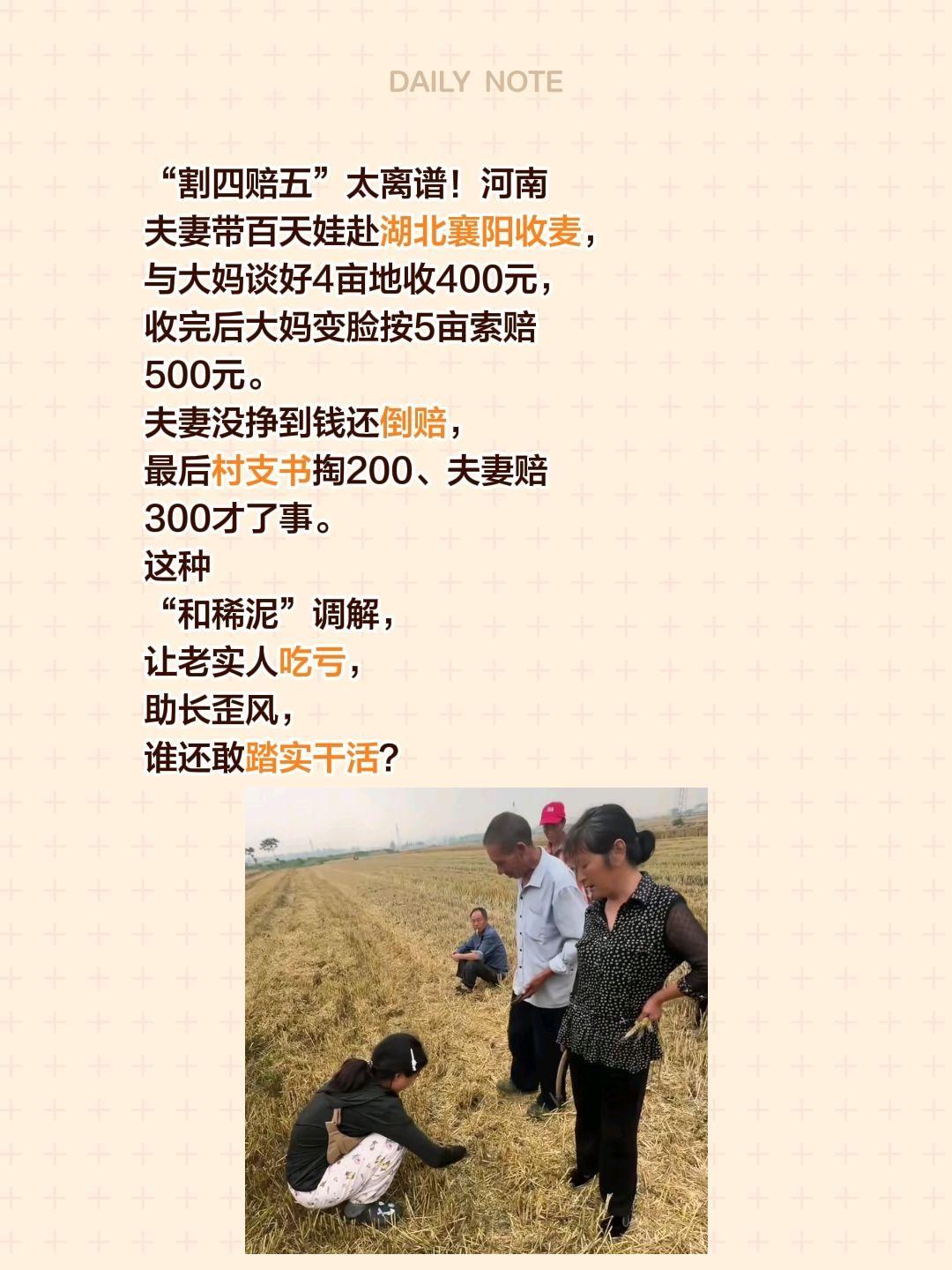 新成语“割四赔五”的由来！“割四赔五”太离谱！河南夫妻带百天娃赴湖北襄阳收麦，与