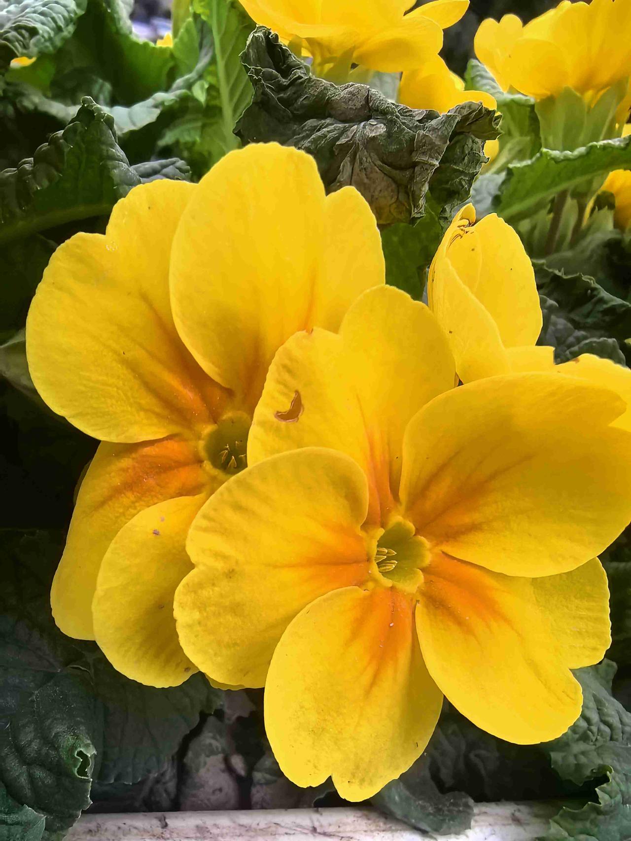 我的今日状态：😁轻松愉快
我这里的天气：☁️阴天