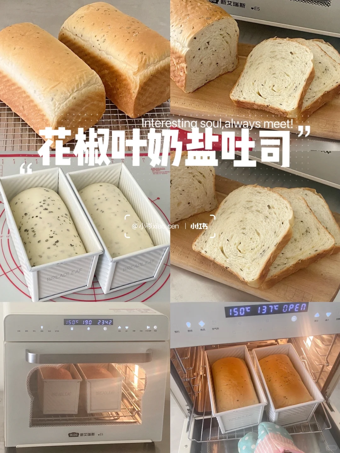 花椒叶奶盐吐司｜沉浸式做吐司
