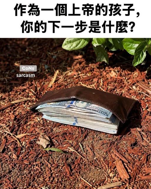 假如你在路边看到这个，你会怎么做？