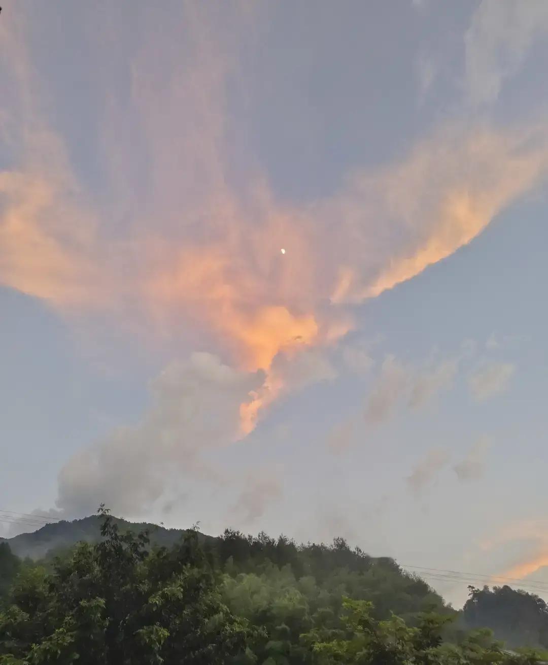 有人说，要抓电动车，不是因为它违法，而是因为它“太好用了”。
想想看，它快、便宜