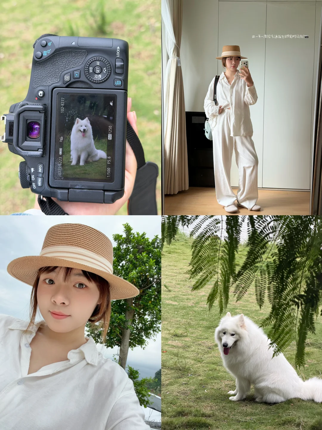 在柳州生活的皮老哥🌿千亩湖给小狗拍生日照