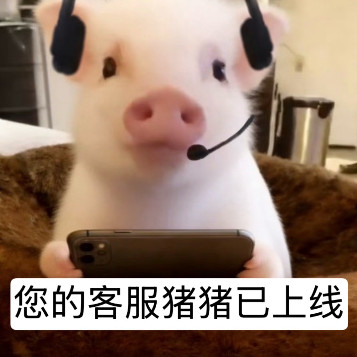 -私人博非yxh-接做rm/rz 洗gc可直接私信或评论-接投稿/代发瓜条-有7