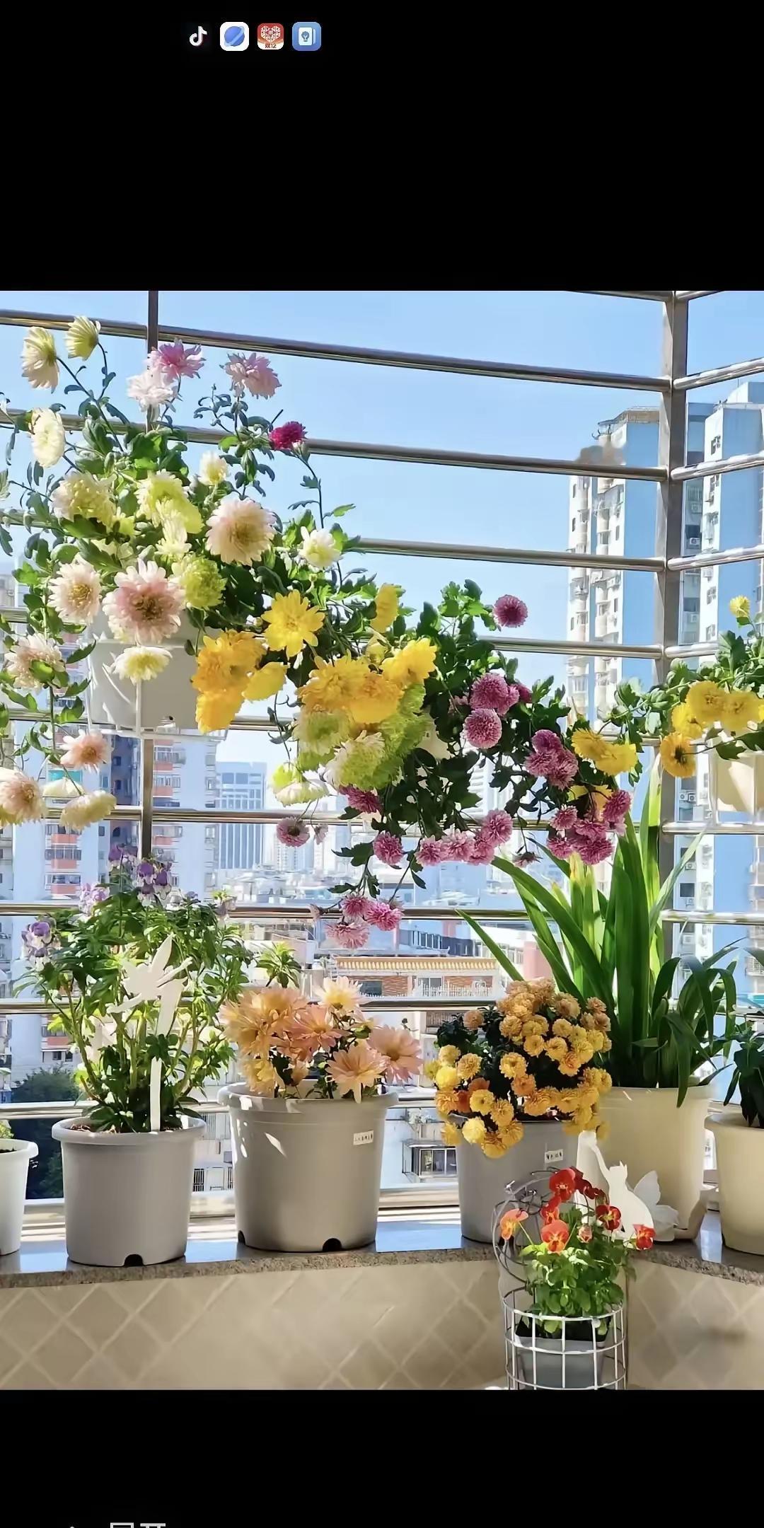 谁之责？
昨晚邻居16岁的女儿，破窗跳楼一命呜呼！其缘由是妈妈看到女儿和男孩的聊