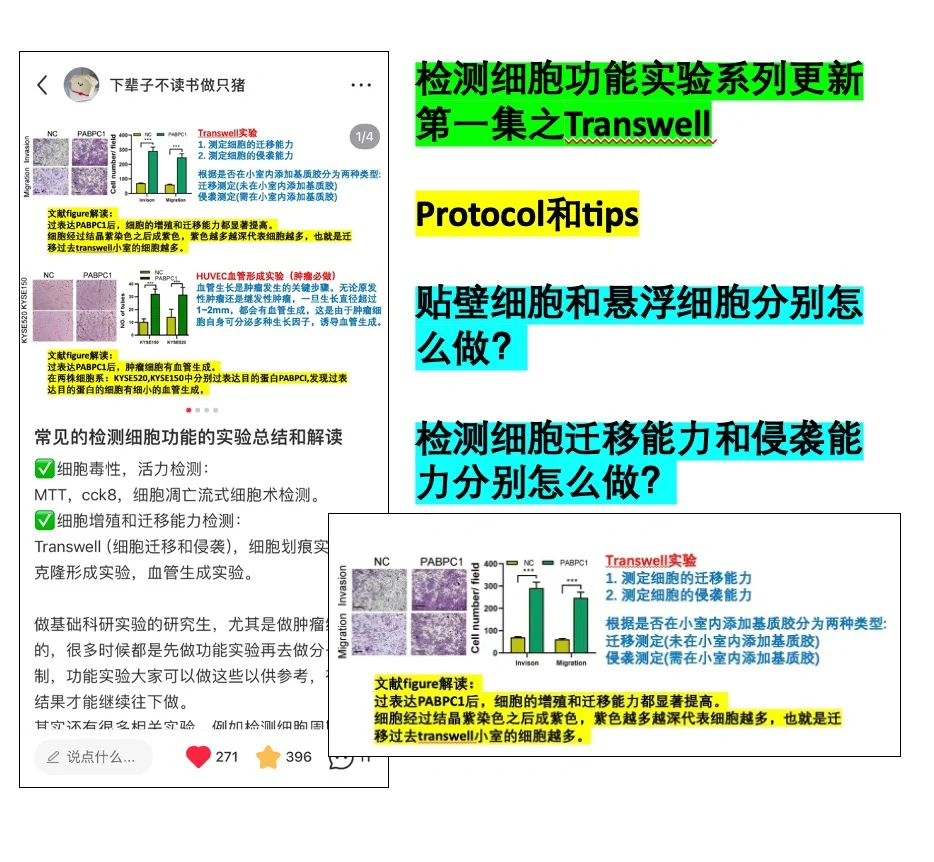 （做细胞功能的看过来）Transwell实验tips