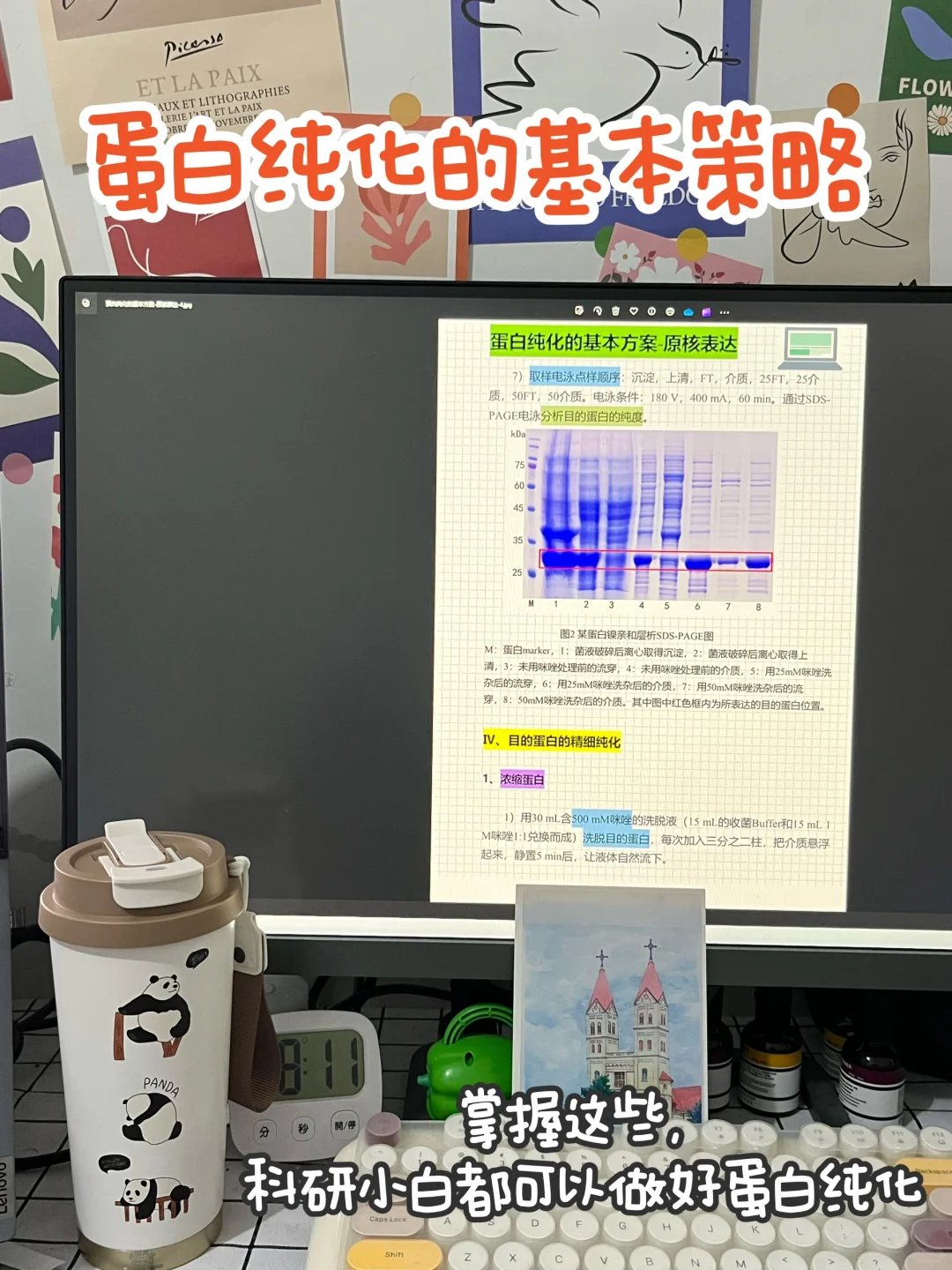 科研小白如何做好原核蛋白表达纯化｜经验篇