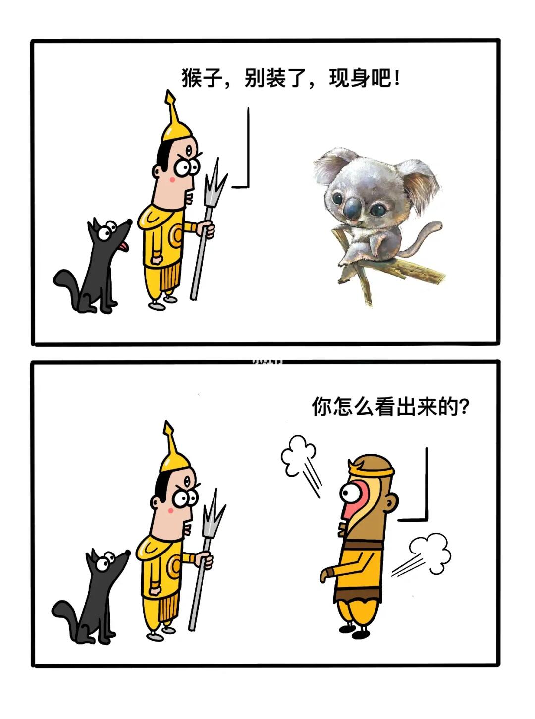 猴子，我再次看穿你了！