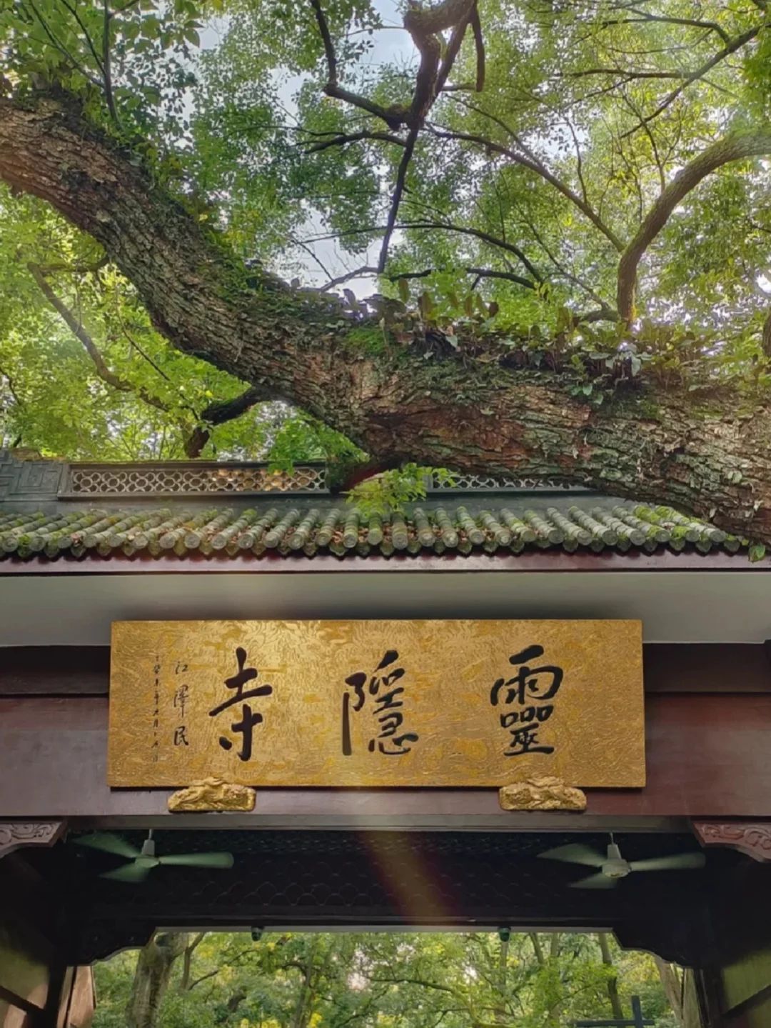 灵隐寺祈福🙏许愿超灵......