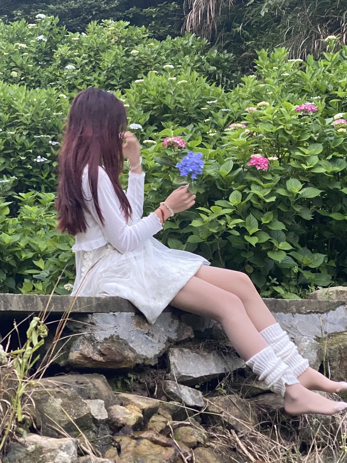 充满鲜花的世界到底在哪里.