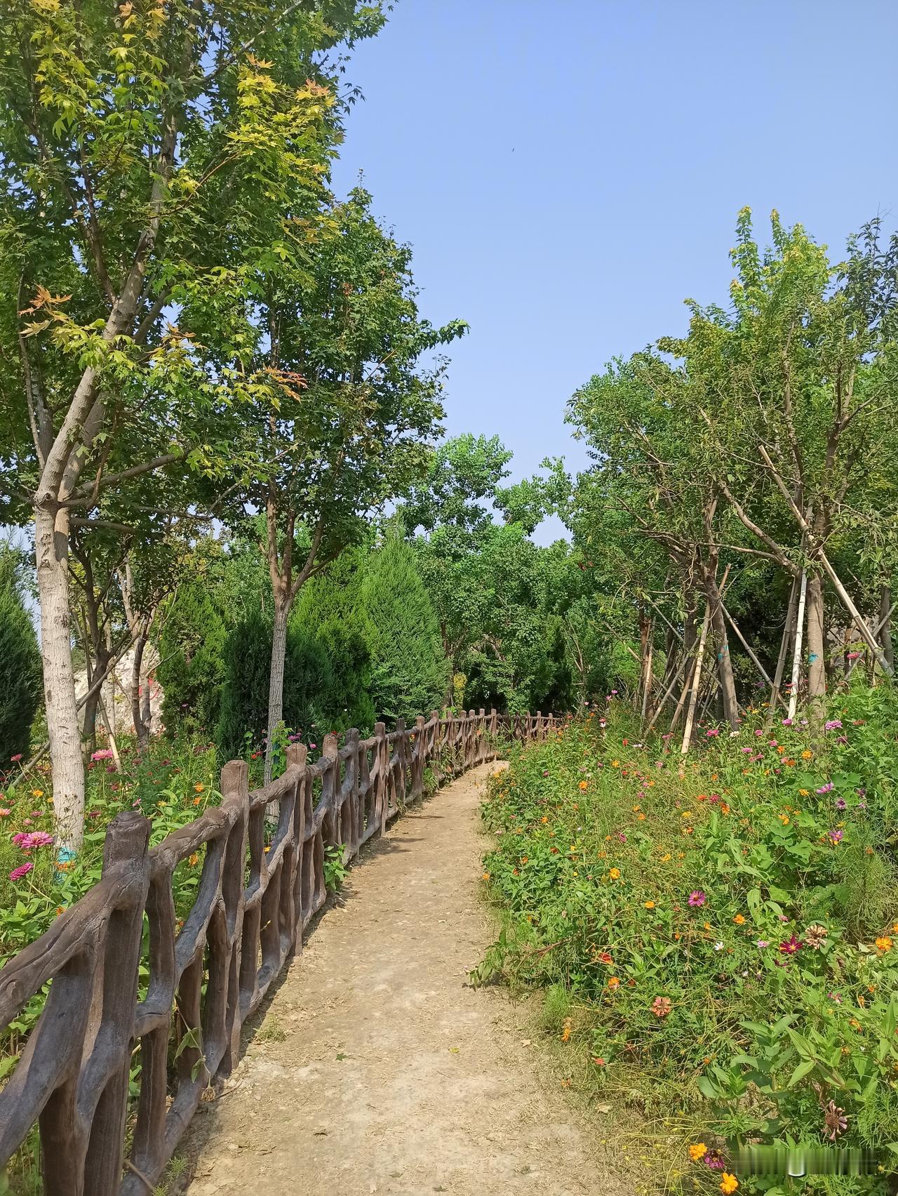 徐州襄王路隧道上新修了步道，花开正艳。南有上山台阶可直达，但却被护栏挡住，可能是