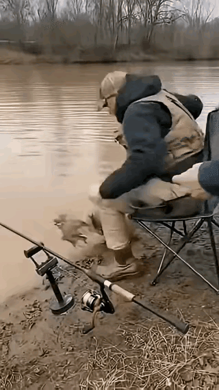 这鱼还用钓吗？咬到哪了？好家伙，看着都蛋疼。