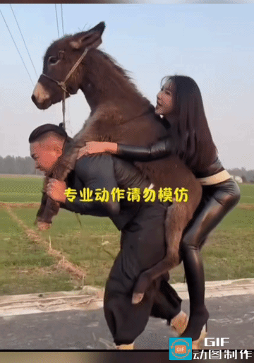 别人出游是人骑驴，网红李明轩偏要反向操作，还霸气放狠话：今天高低得让驴好好体验一
