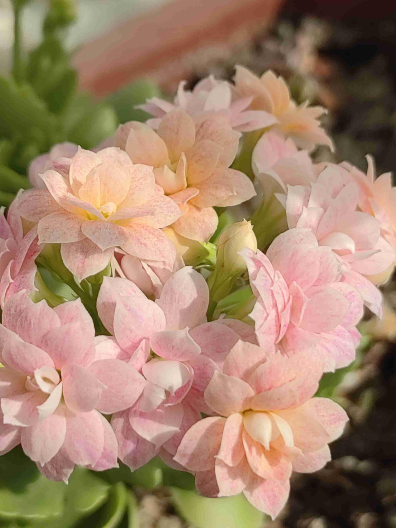 我的今日状态：😁轻松愉快
我这里的天气：☀️晴天