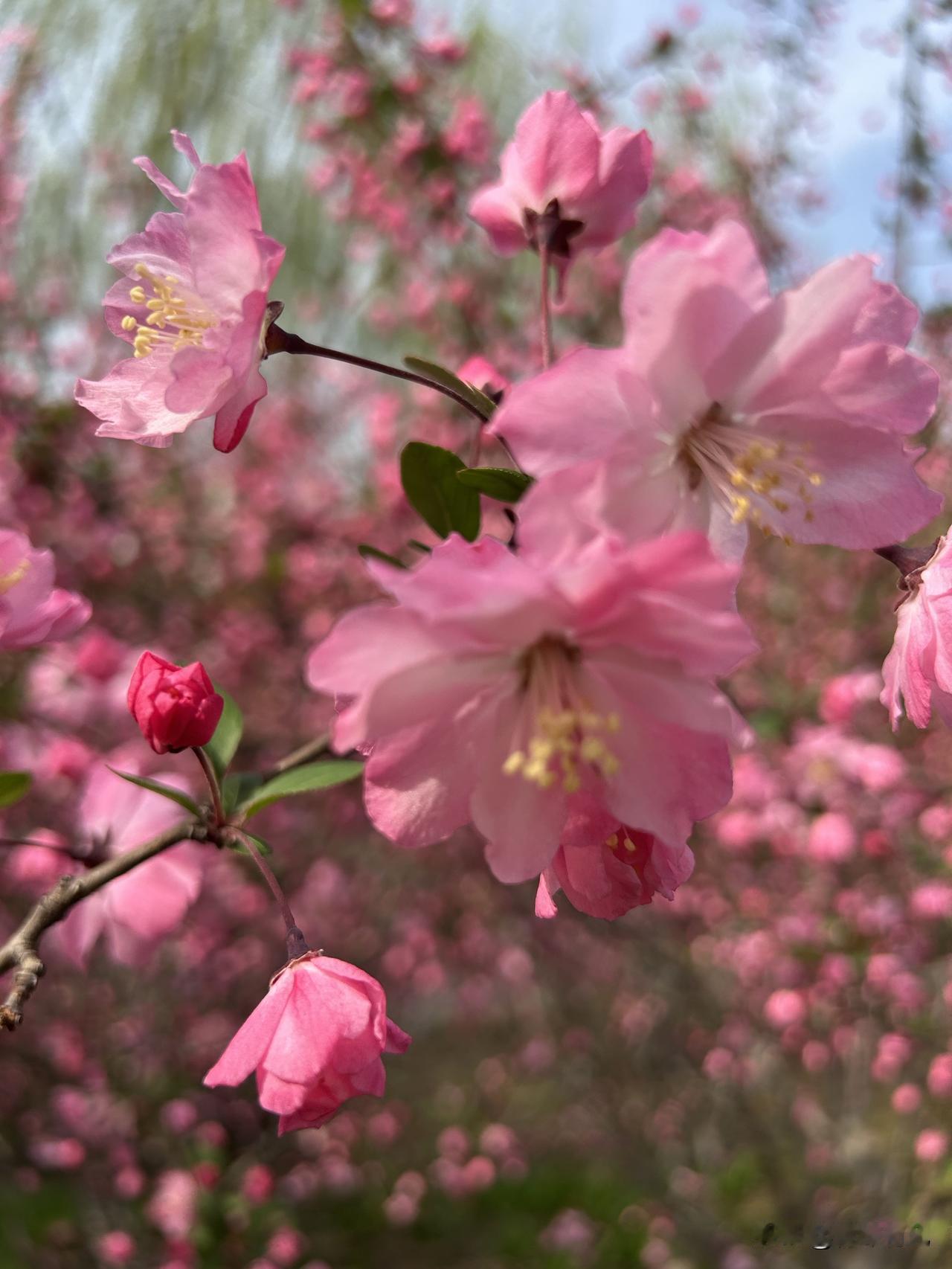人这一辈子，走过半生才懂：健康不是第一，而是唯一



人到五十，退休在家，茶余