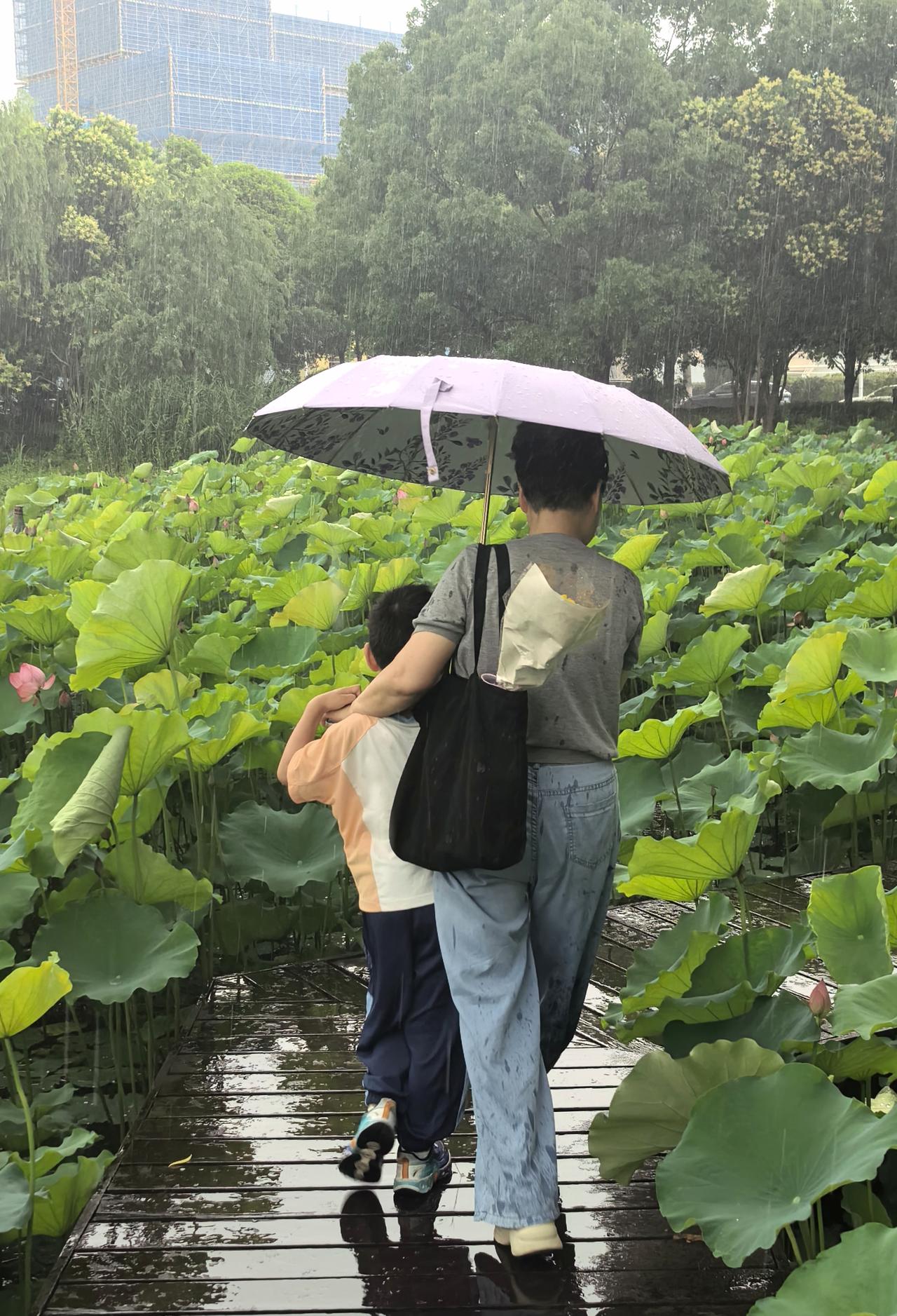 雨中