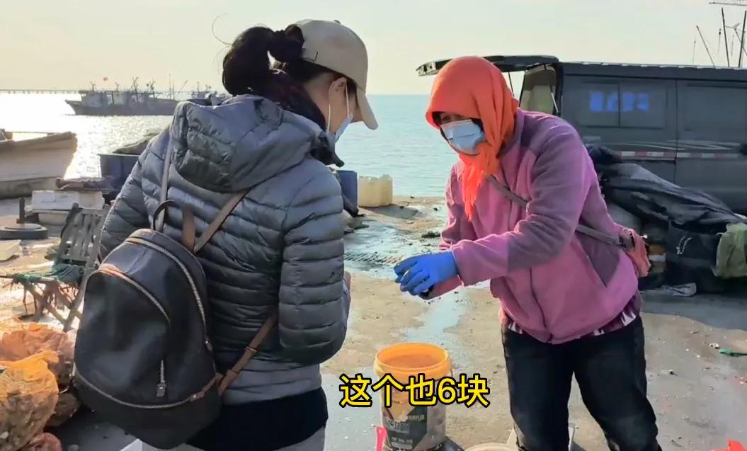 青岛刘四姐和老李逛红岛码头，90块钱包圆一筐刚刚上岸的野生鱼真是捡个大便宜
  