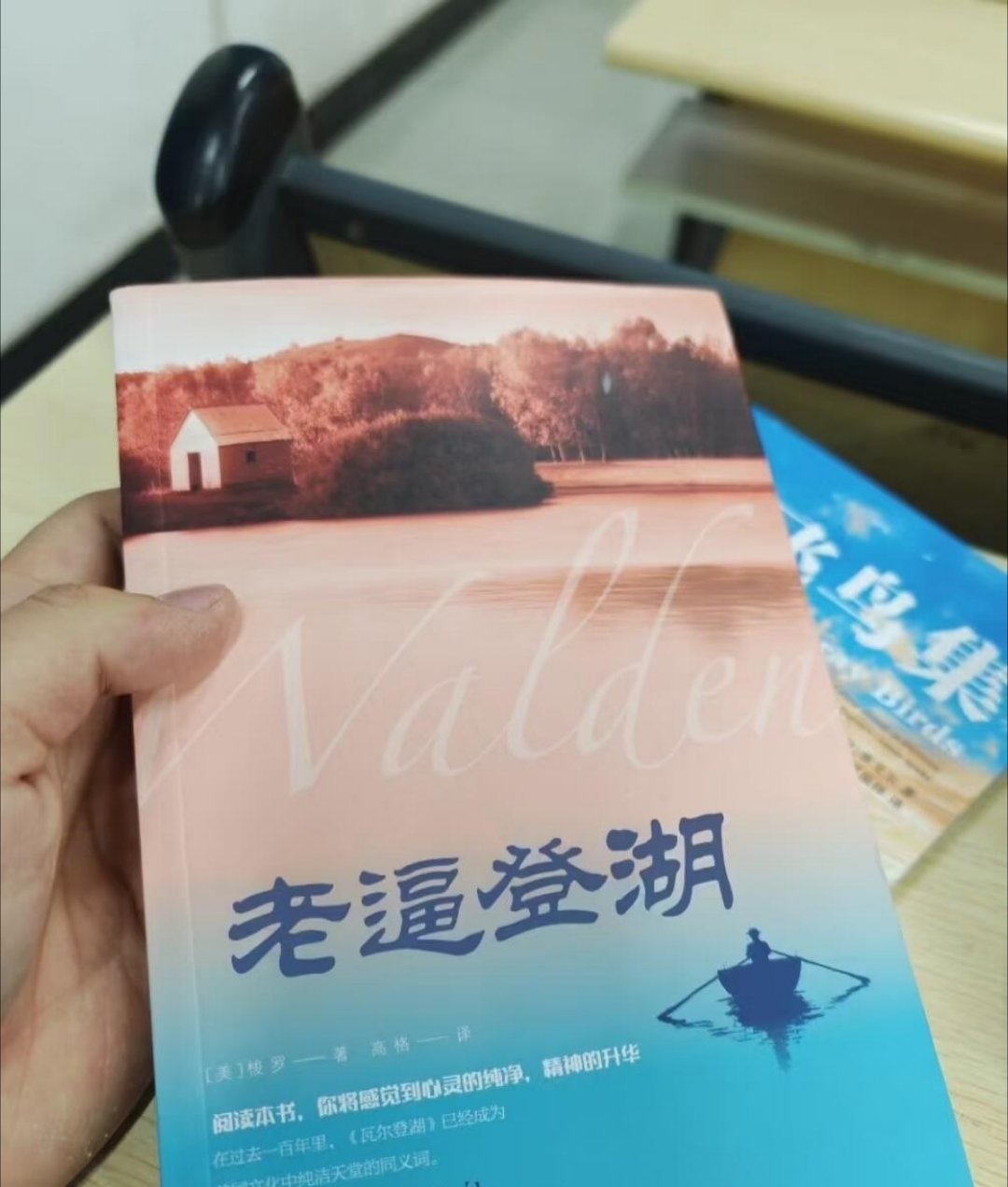 离谱的碰瓷书，这怎么看起来像PS的？《呼啸枣庄》《老人下海》……年少有为原著遭碰