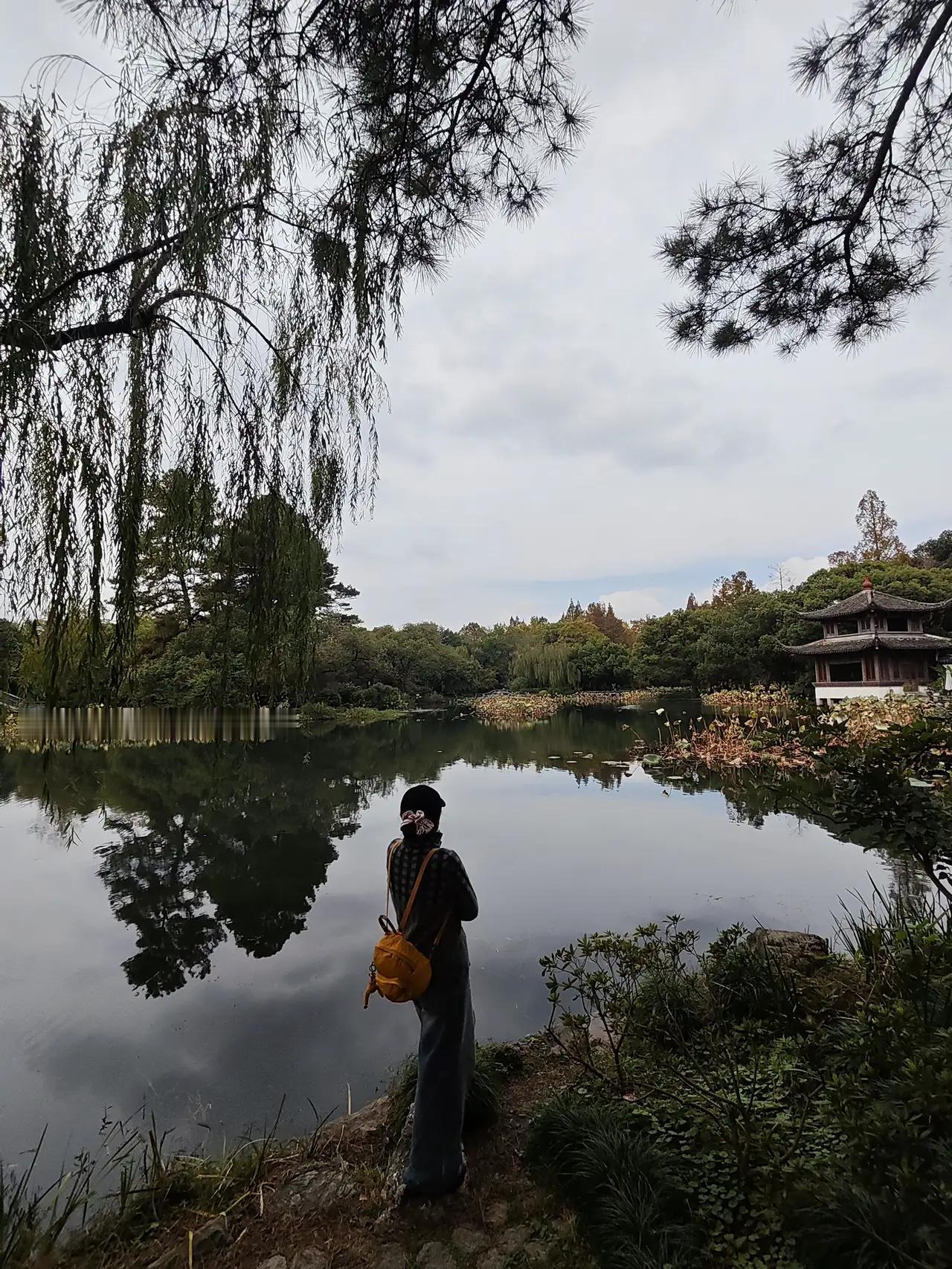 曲院风荷有着独特的地理位置，这里风景优美，是每年最早开放荷花之地。

每当我来到