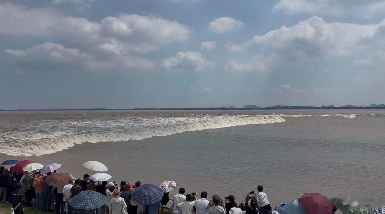 🌊海宁盐官｜终于亲眼见到课本里的钱塘江大潮去了海宁盐官·观潮胜地公园，亲眼看到