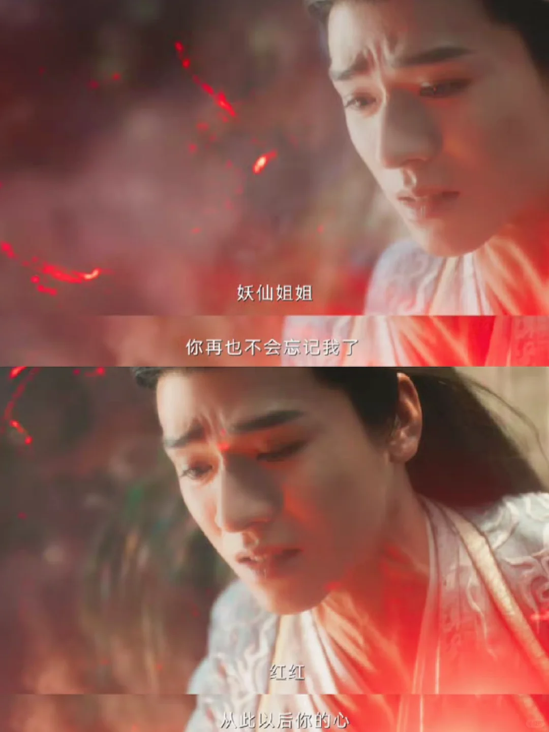 爱意掷地有声，你让我看了怎么不心痛😭