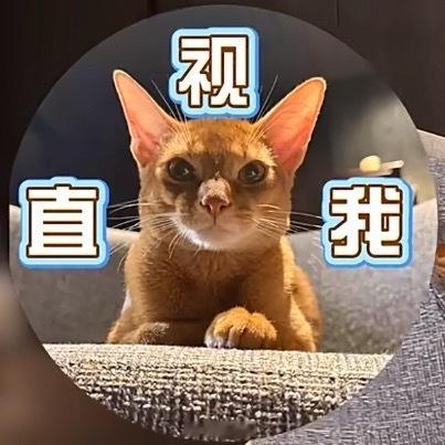 网恋vs奔现 