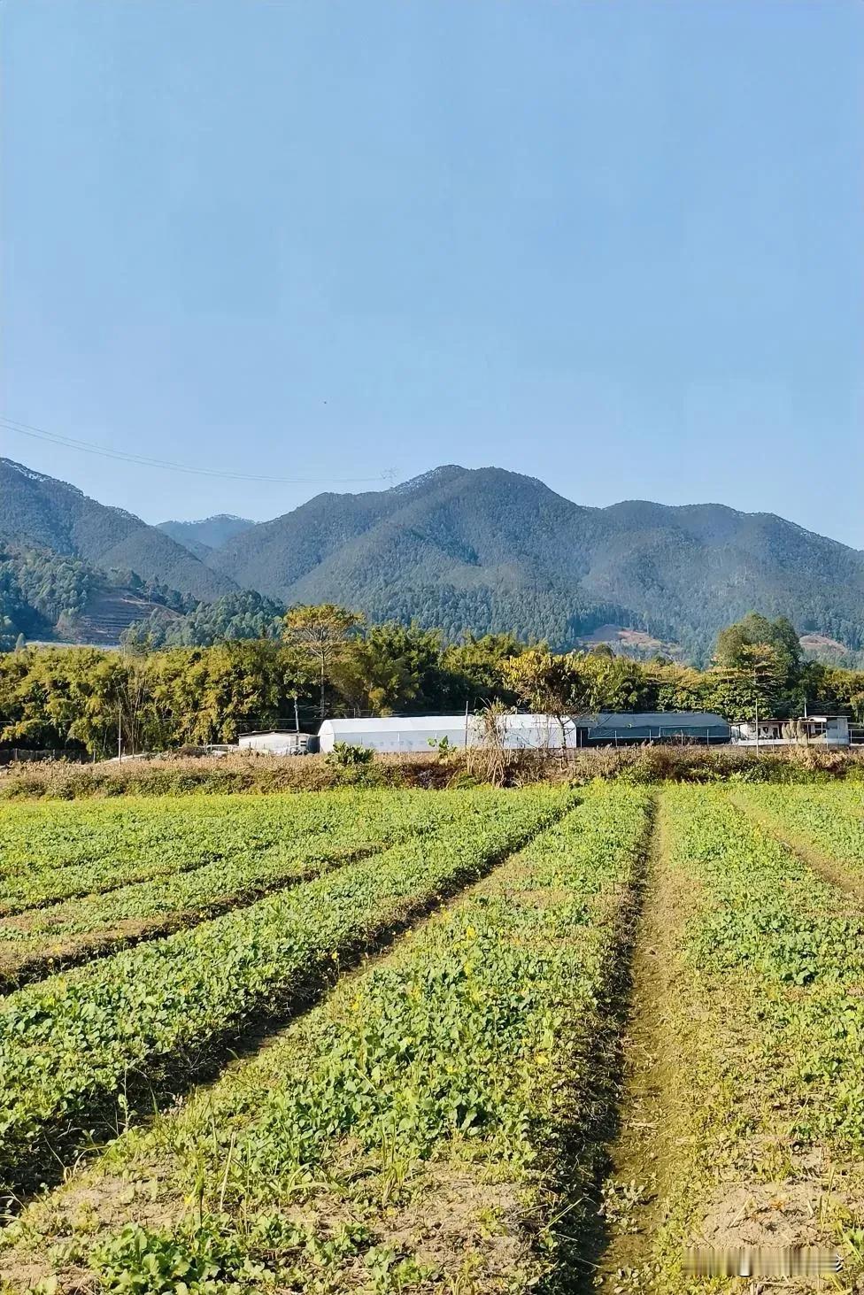 十五年前，饭桌上我表弟问我月工资，我说7000左右，他面色明显变了下说外面的工资