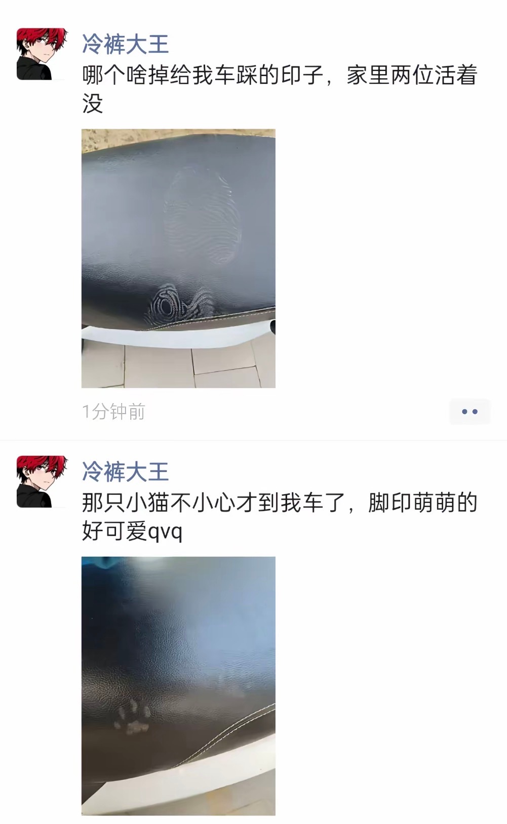 我对猫态度和对人的态度： 