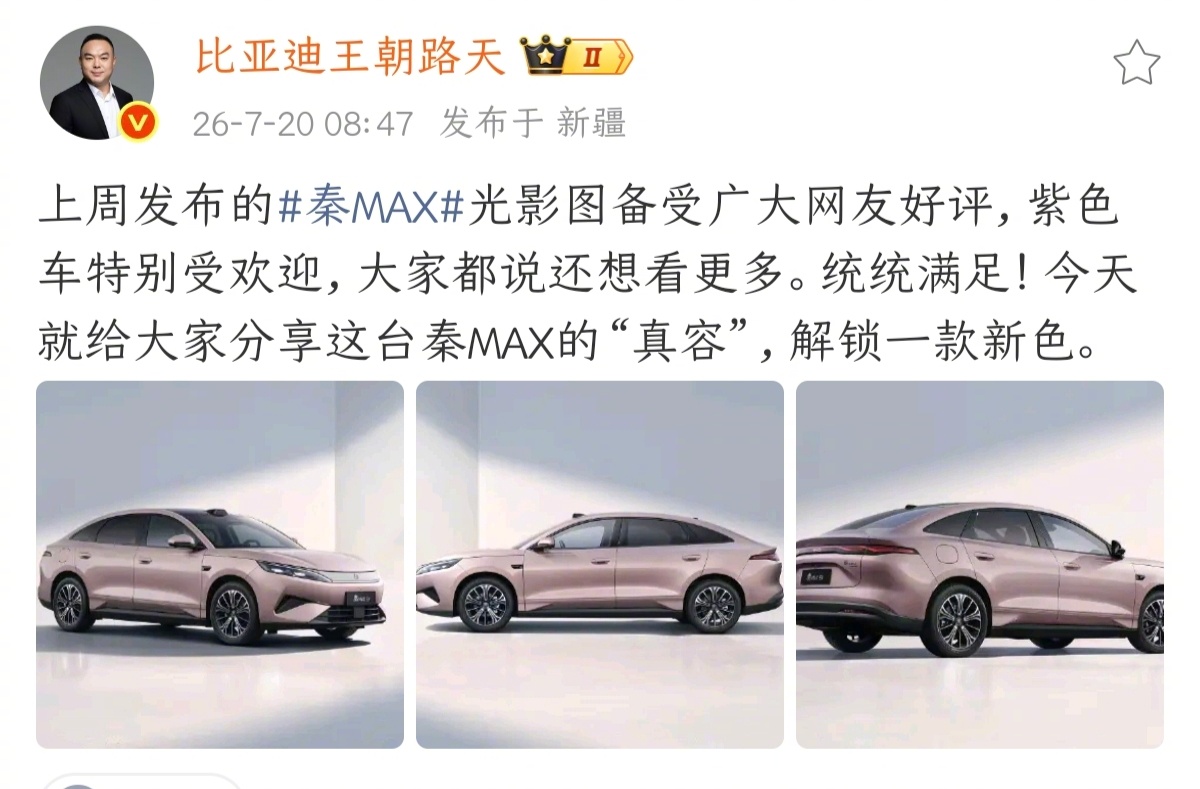 比亚迪秦Max是秦系列的超大杯，头顶有颗激光雷达，不过我猜它再怎么Max，也不会