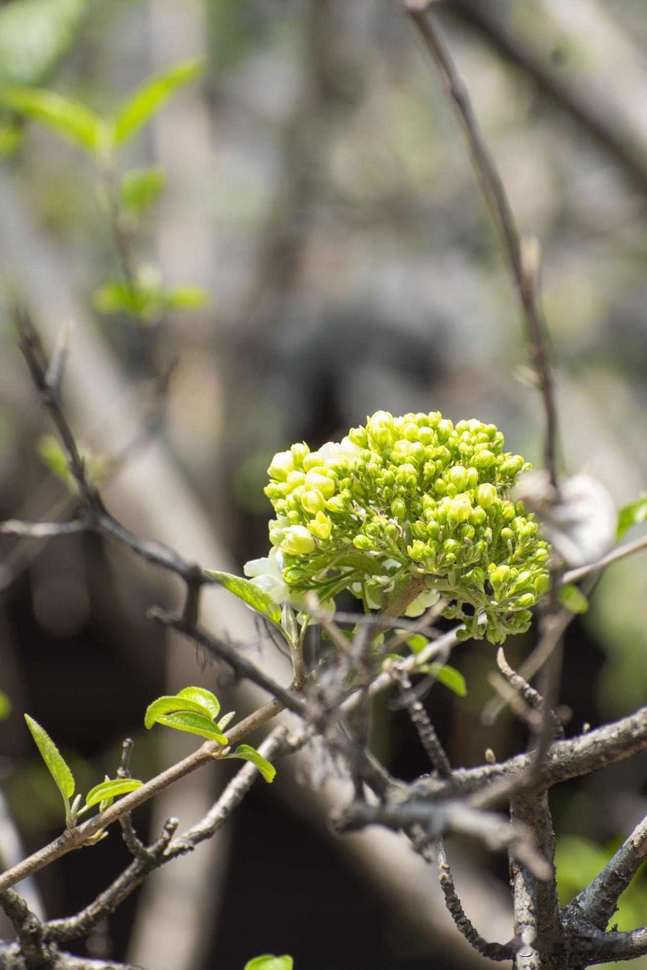 一位50+的老同事说：
“钱最重要，钱能解决99%的问题，包括疾病。”
 
那天