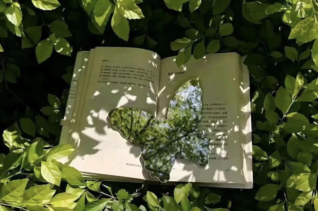 0900早上好☀️极好784☀️想涨ygxy的可以来和我互动🉑转 🉑评 🉑