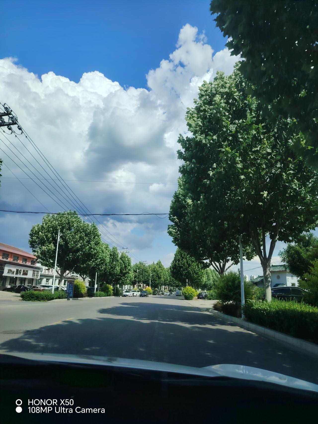 阳光透过树叶洒下斑驳光影，静谧的午后时光。🌞🍃