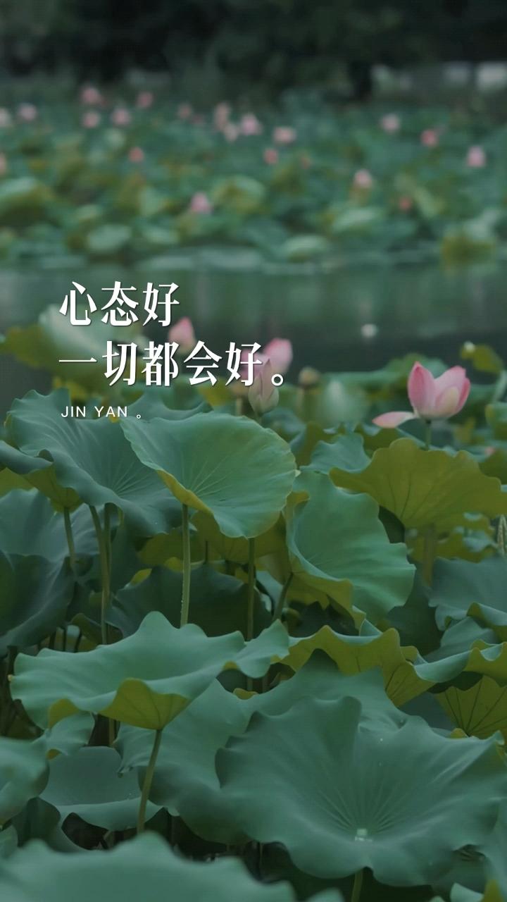 年龄和心态哪个重要？我站心态。在快节奏时代，很多人因年龄增长而焦虑，觉得年龄大了