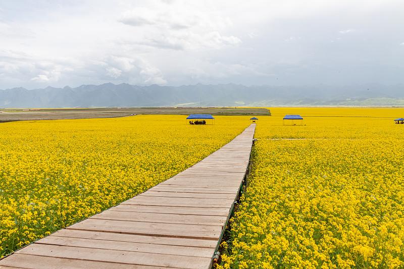 是谁打翻了大自然调色盘