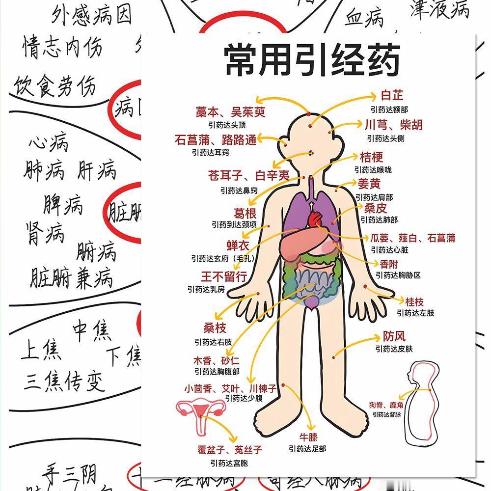 中医腹诊这玩意儿，我还真有点心动想试试。它作为中医诊断的独特技能，据说作用可大了