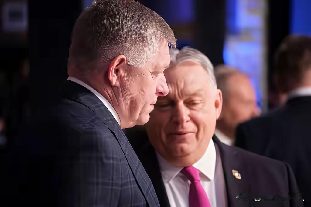 我个人预测，4月的大选，欧尔班不会再一次赢得匈牙利总统选举。有特朗普、卢比奥公开