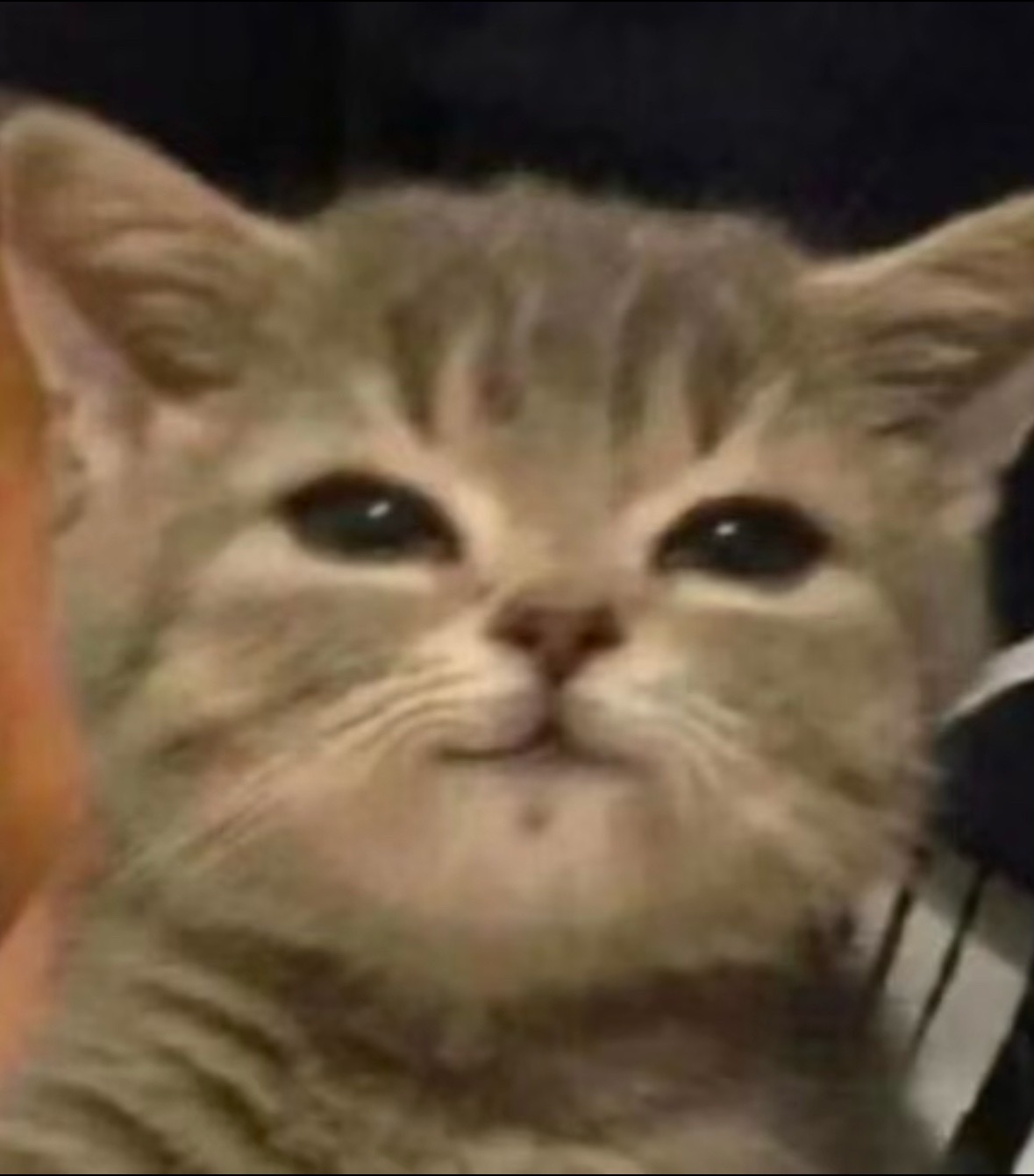 人 咪在这 ​​​