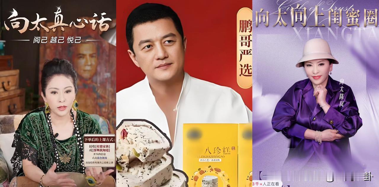 进军内娱（互联网）阵地以来，向太延续了她从前大张旗鼓、雷厉风行的作风一点没变。一