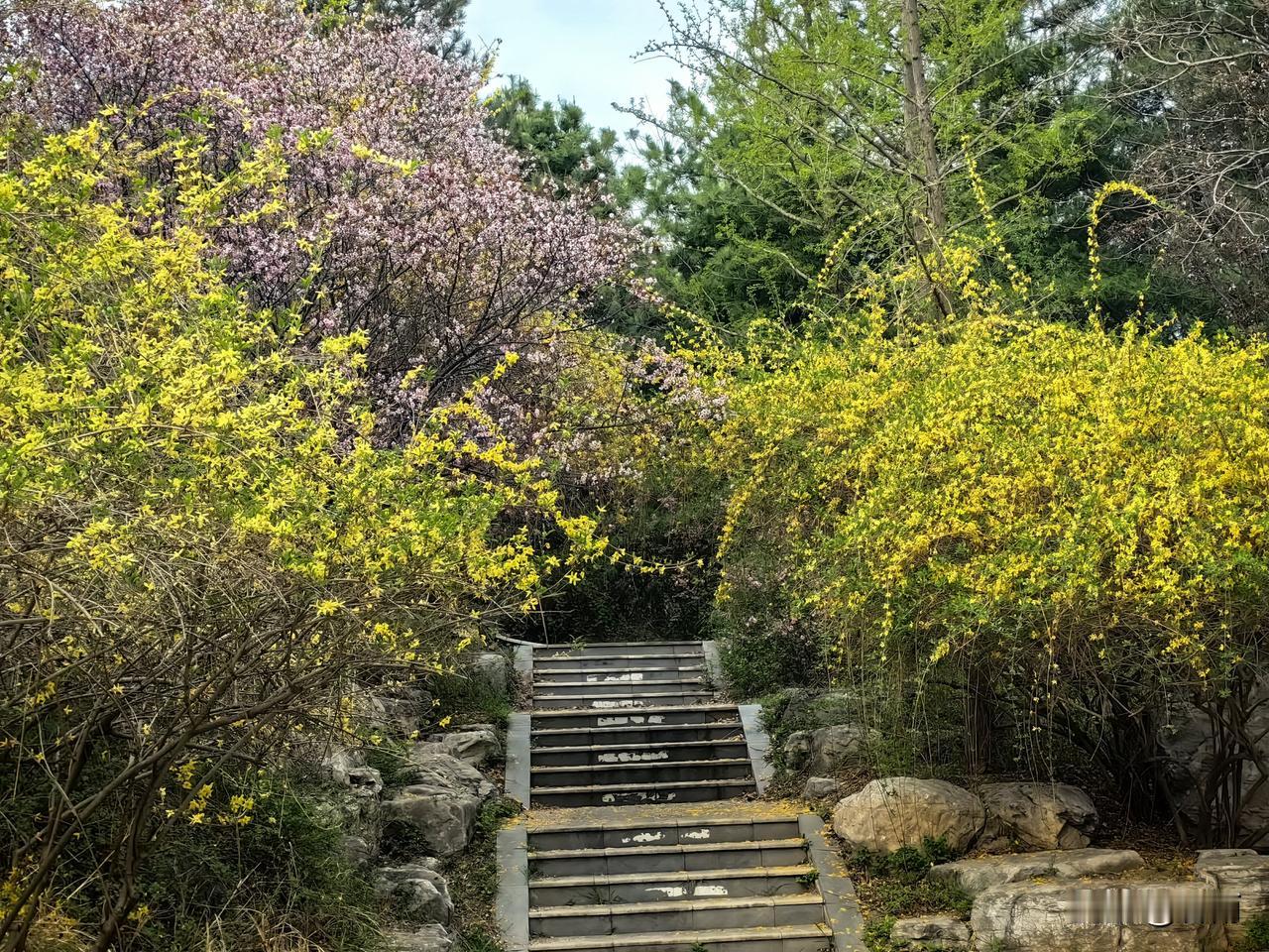 老年生活感悟：我们到了五六十岁年纪的人，每天主打“放下焦虑，心情舒畅”，少操心就