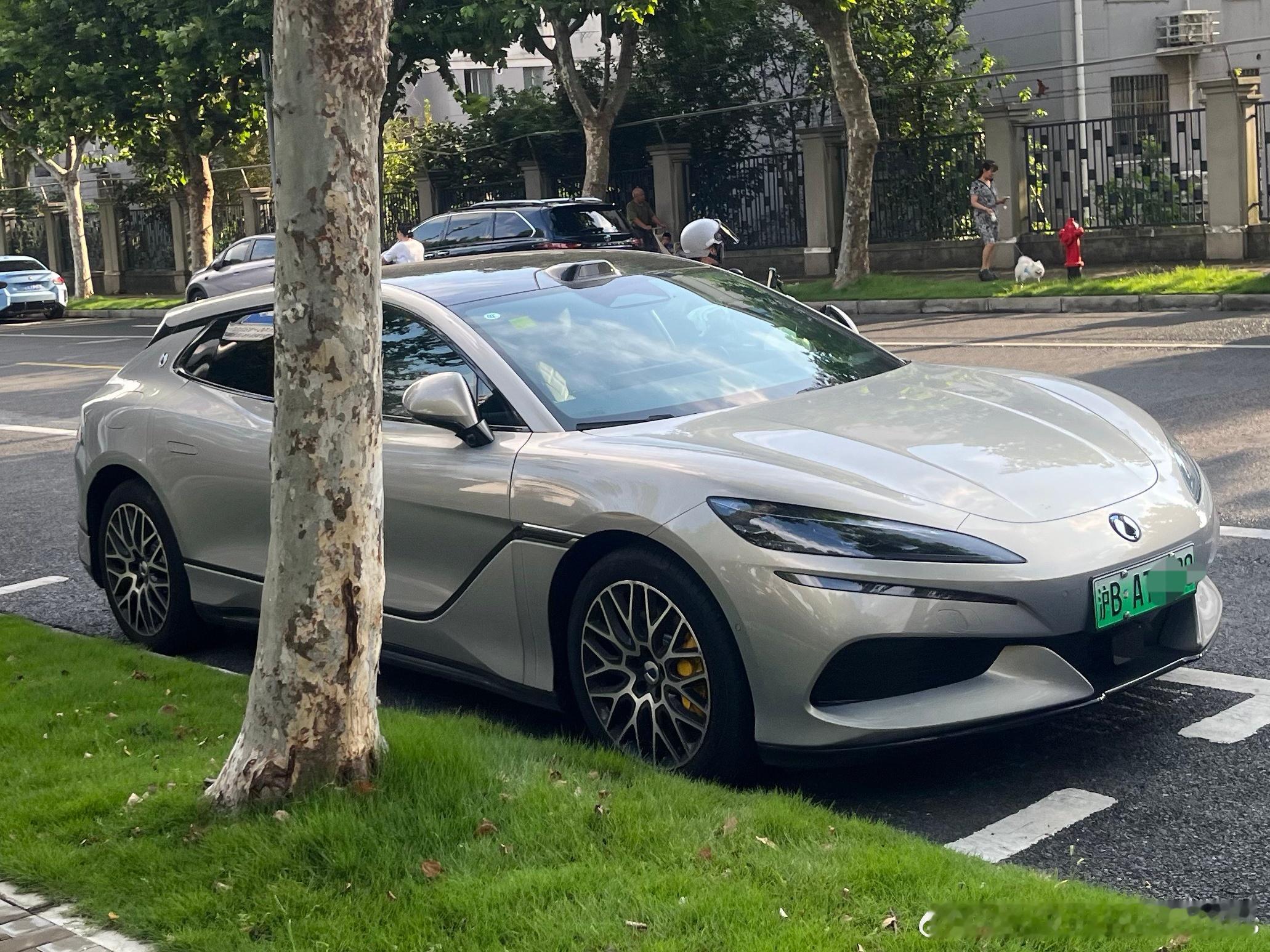 又有邻居提Z9GT，头顶激光雷达+沪B，大新车了[doge]真的越来越多了。汽场