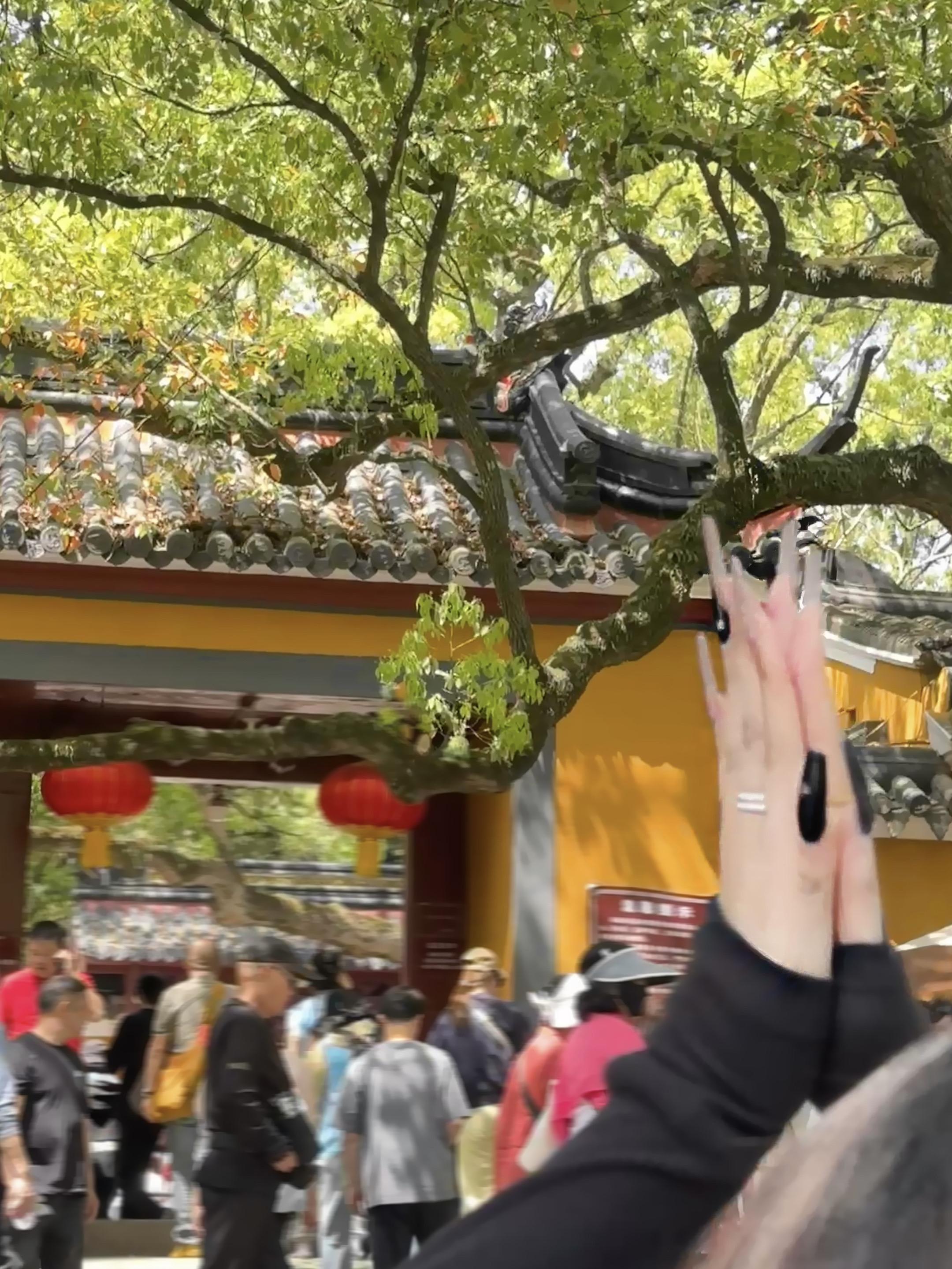顺遂无虞 皆得所愿