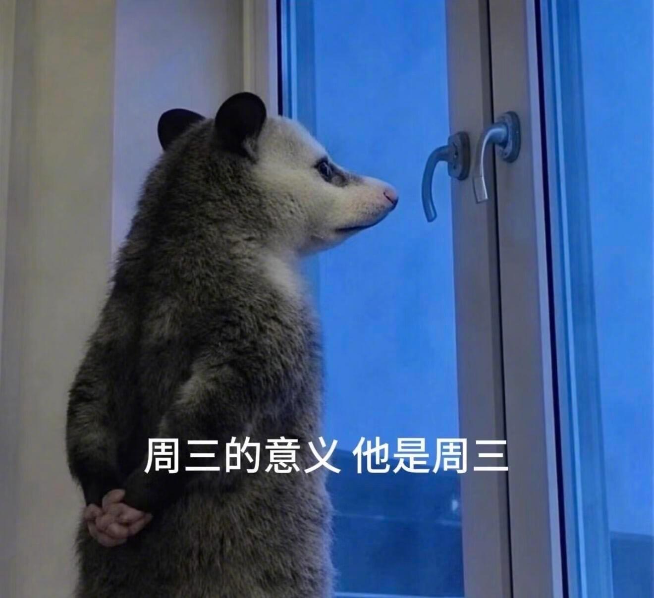 周三是最会装的我的幽默灵感片场