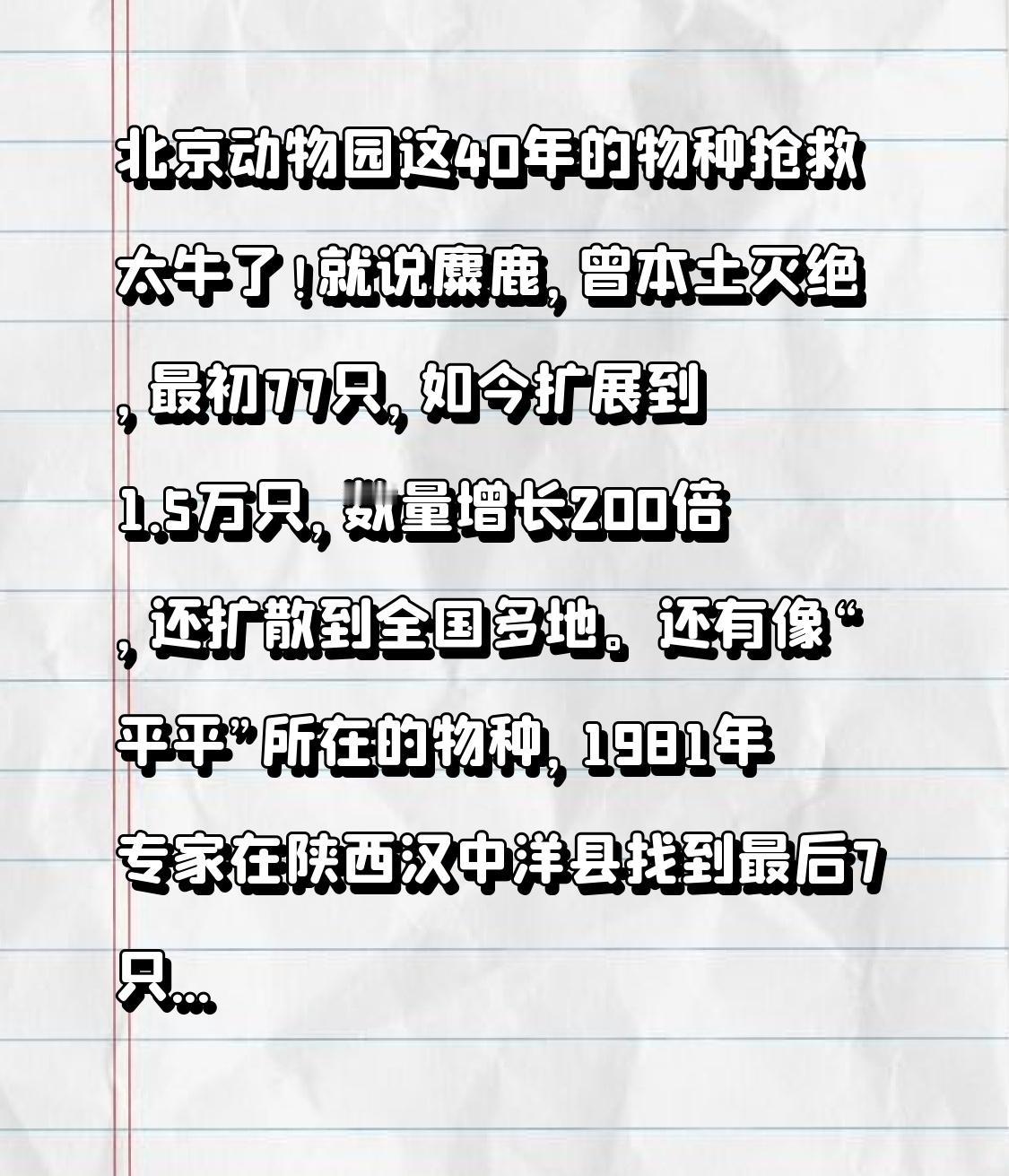 北京动物园这40年的物种抢救太牛了！就说麋鹿，曾本土灭绝，最初77只，如今扩展到