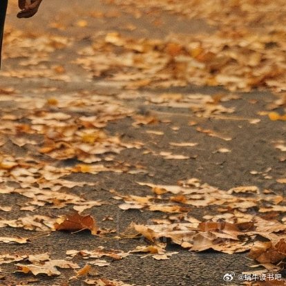 【7】一个人在他一生中，可以有过许多次恋爱，但是使他的灵魂得到升华的却只有一次。