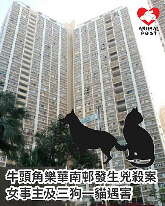 香港警方正全力追捕一名外籍男子疑凶！香港凶杀案香港刑法 「香港 九龍牛頭角樂華南