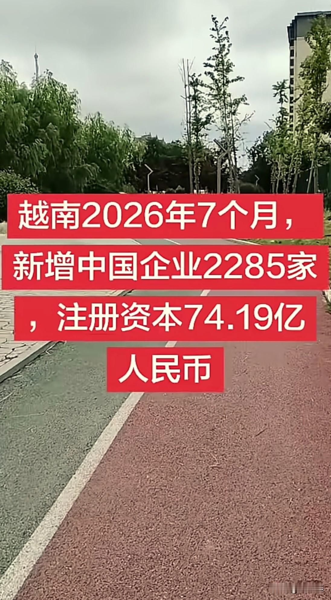 一个新趋势，值得反思。
整个2026年前7个月，越南就新增了中国企业2285家，