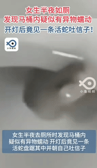 “最担心的事还是发生了！”江苏无锡，一女子半夜上厕所时，感觉马桶里有东西在蠕动，