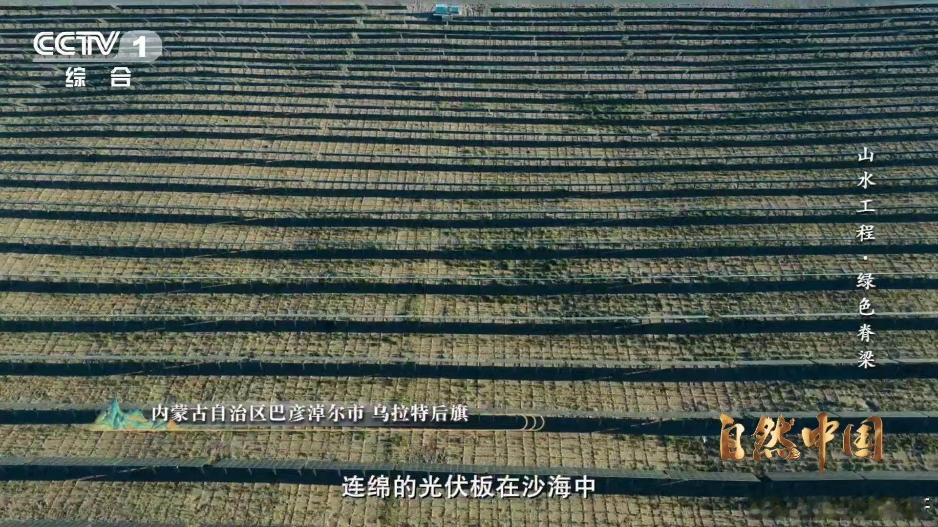 治沙界又添一员猛将光伏板一边发电一边治沙 巴彦淖尔沙漠逆袭记！光伏板靠年均300