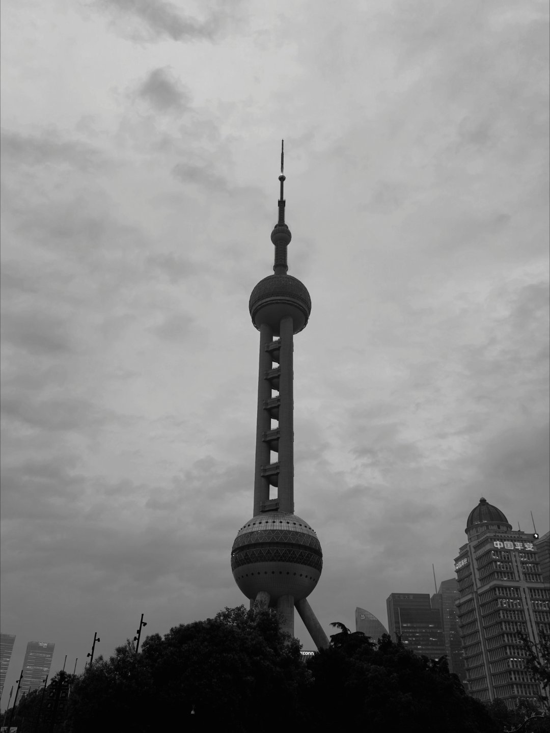 分享图片 