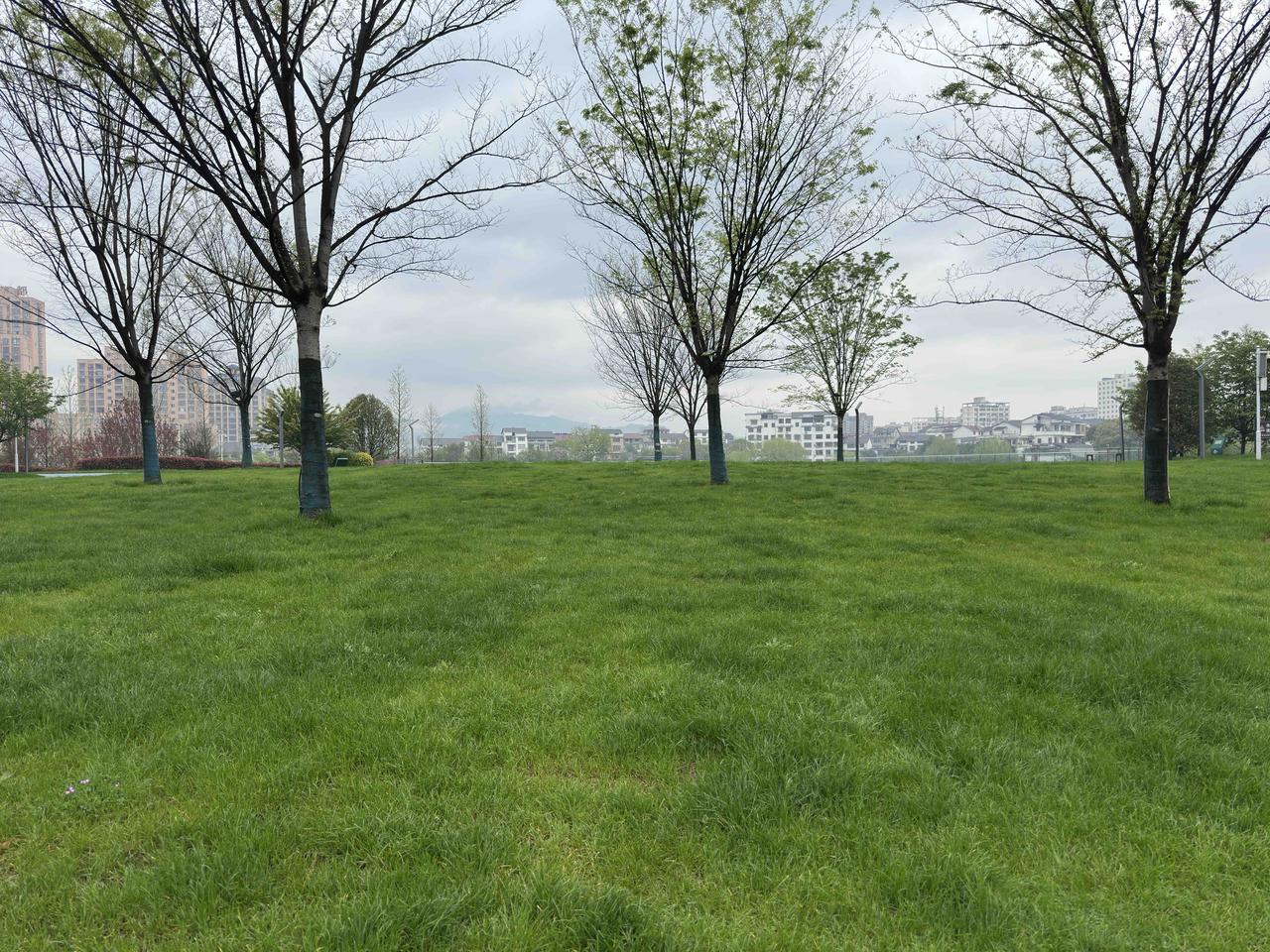 陪护母亲，站好三月份的最后一班岗。

母亲的下次血透，就轮到大姐来接送并陪护了，